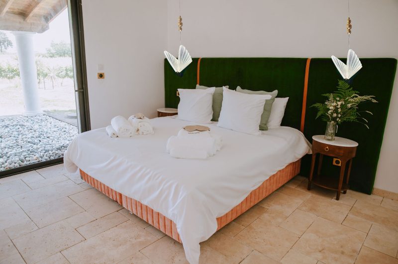 2024_PEC_HakunaMatata006©Jana Marnewick