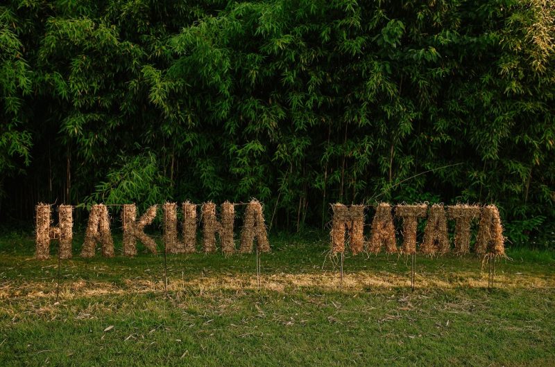 2024_PEC_HakunaMatata016©Jana Marnewick