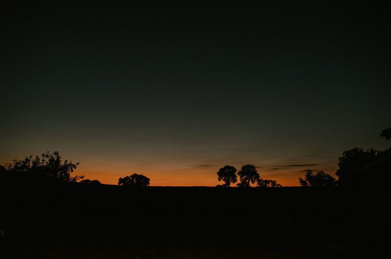 2024_PEC_HakunaMatata040©Jana Marnewick