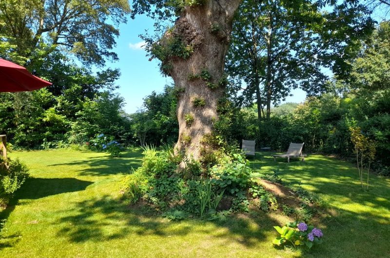 2024-TS-BARRE-jardin