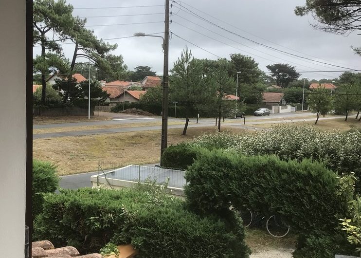 2024_coyola (7) (Copier)