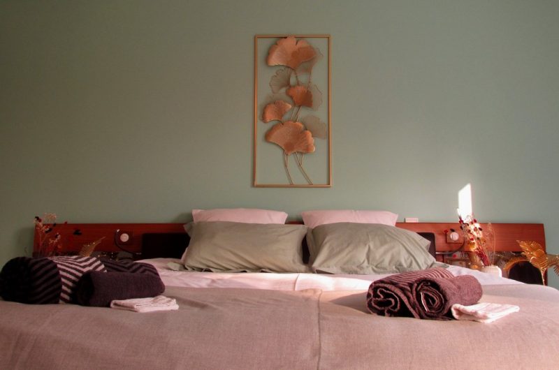 2024_ts_haou_Chb papa