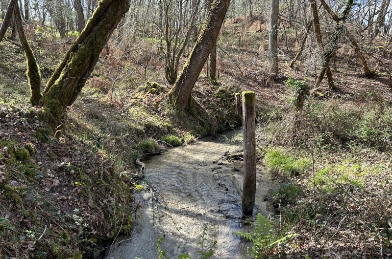 2025 – ARUE – La Grange de Routgé – A proximité – ©M. DESCAT (3)