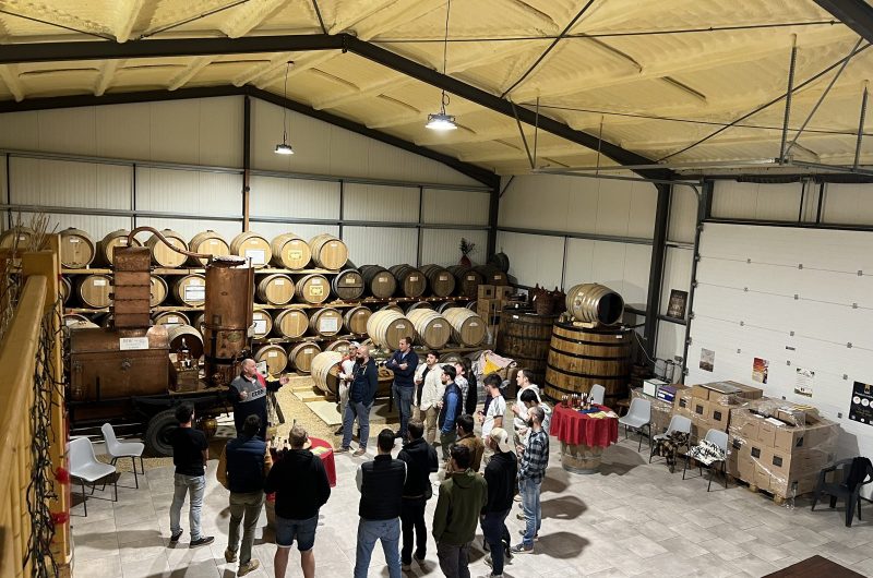 2025 – BOUR – Domaine du Berdet – Accueil dans le chai – ©Domaine du Berdet