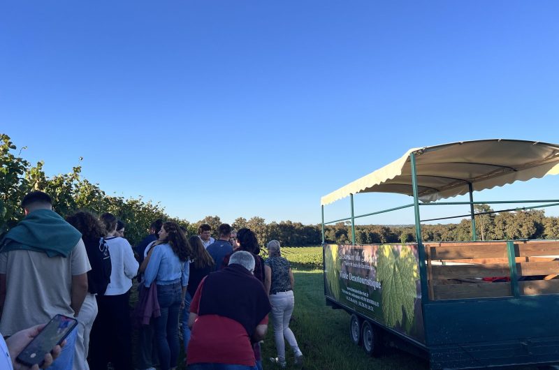 2025 – BOUR – Domaine du Berdet – Visite en remorque – ©Domaine du Berdet (6)
