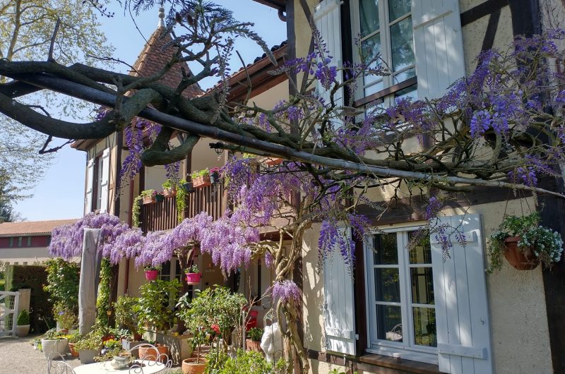 2025 – LABA – Le Chalet – Façade côté jardin – ©Le Chalet