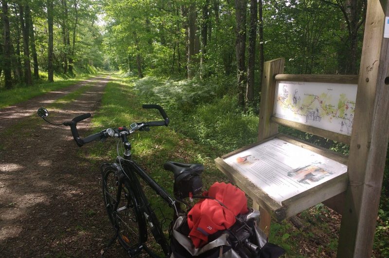 2025 – LABA – Scandibérique – ©Le Chalet