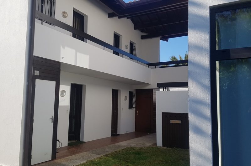 2025_damico_isabelle (10) (Copier)