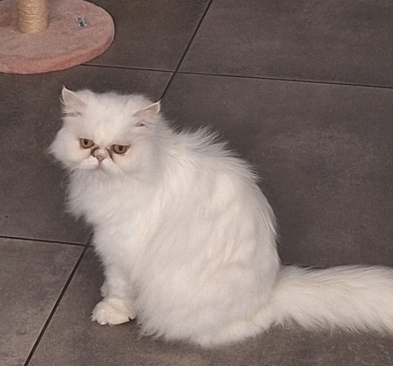 20250501_110859 (Copier)