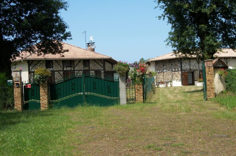 2026_cugnet_hirondelle (2) (Copier)