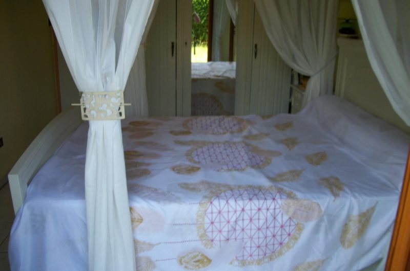 2026_cugnet_hirondelle (6) (Copier)