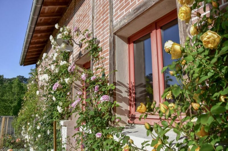 20478-Gîte Hortensias – Location vacances à Pontonx-sur-Adour Petit Pontbiel-facade