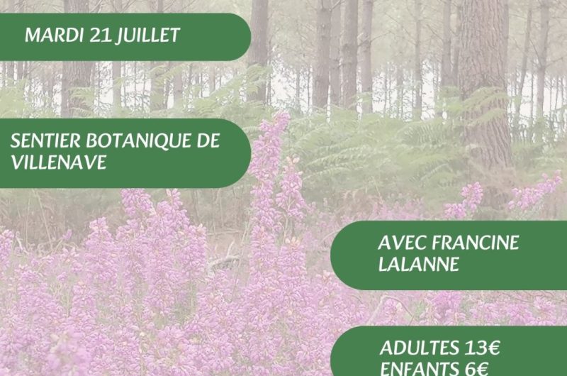 Visites, balades de l’OT – 8