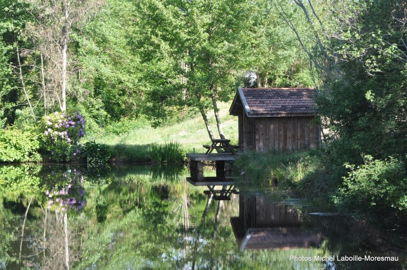 L’étang et la cabane