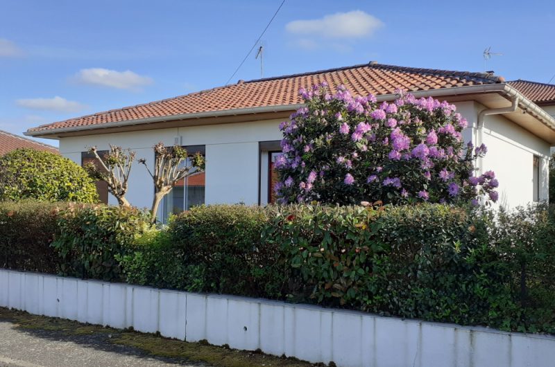 219461693-535698977843987-6615592091433717974-n