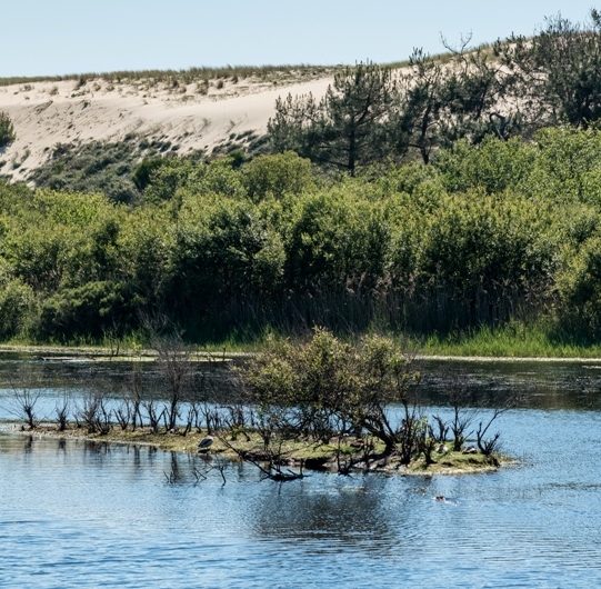 21oct_ONF_foret-littoral