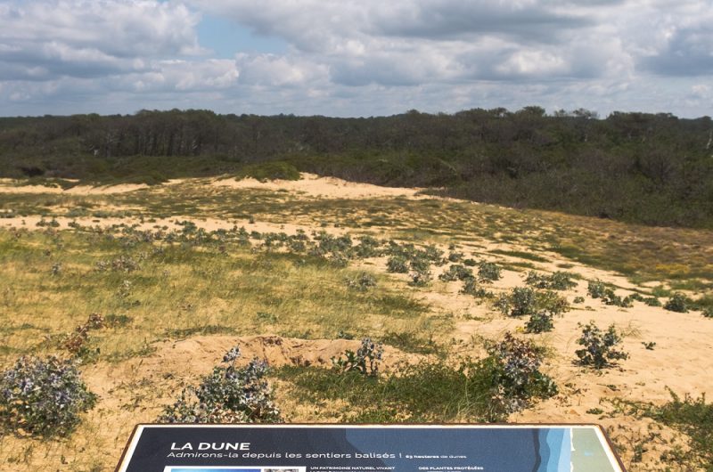 Balade sur la dune depuis la plage centrale