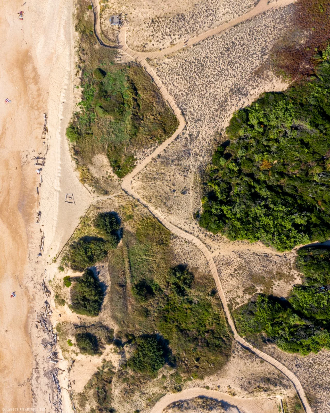 Sentier de la Dune