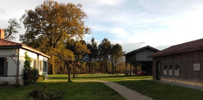 2UvPSo_zofLeoGAi522-6XpwdhCfW2gBwlaUz0yWgA-R1pVfs5vI8XOy1BFIo5f4PXaDsSNGdvZLfdS-PgH2d1vk9Egk5_BeAfW2MwthdtWLwzyK84tnnlRMqU_1cHMPGJjx8wpNAxKcw2BHXA