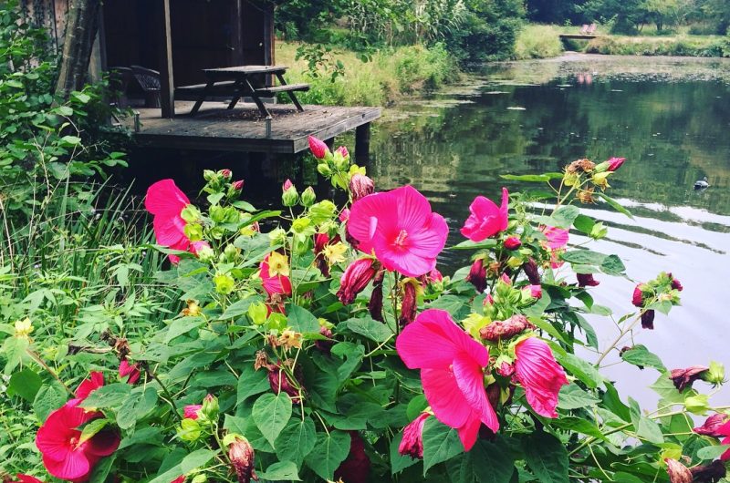 30-RUCHER-LABOILLE-M2-landesatlantiquesud-2