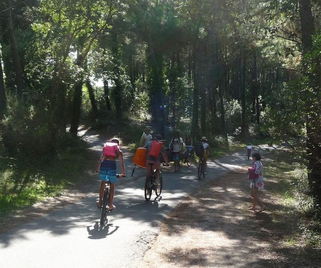 31-sur-le-chemin-vers-la-plage-des-lieges-op-2