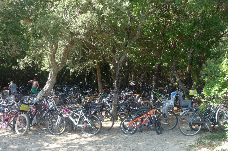 32-la–foret–des-velos-3