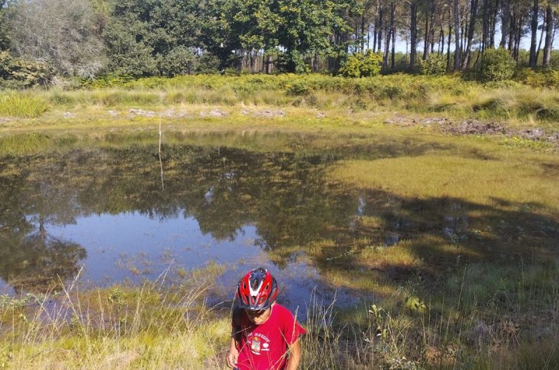 366749816_600169215621991_2224752671212758254_n