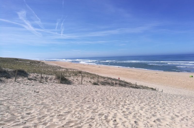 45970612-1902497583149338-740895233088159744-n-op