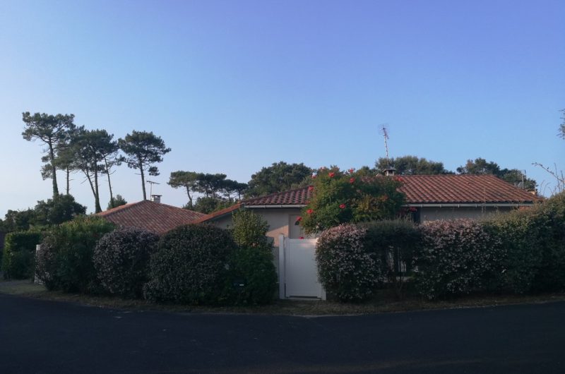 46170079-326005461315990-4212213034371776512-n-op