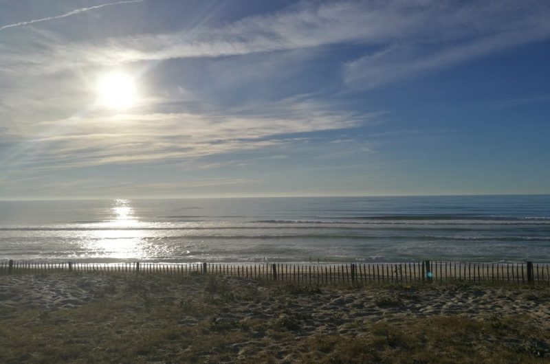 46170086-281286042495848-569936280368971776-n-op