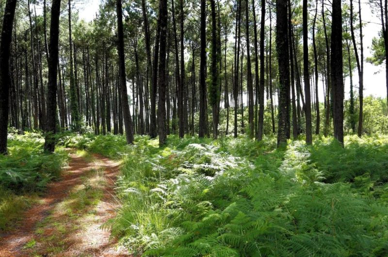 Design sans titre – 1