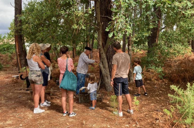 6-Gemmage_Groupe__Conservatoire_Landes_Gascogne