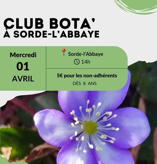 653395699_122119612395187189_1294528216854249909_n