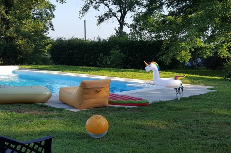 66259345-2317153985044189-5171573673051553792-n