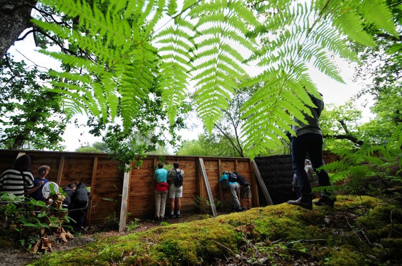 667560-visite-neuf-fontaines—bostensnll-11