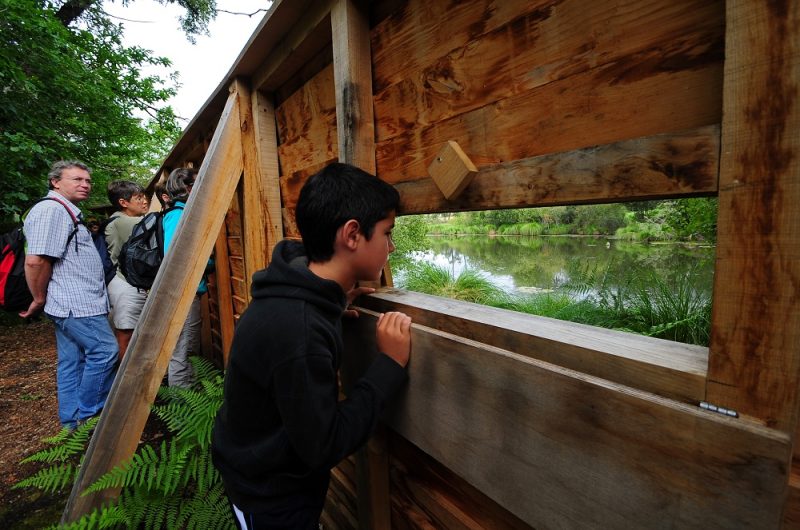 667562-visite-neuf-fontaines—bostensnll-14