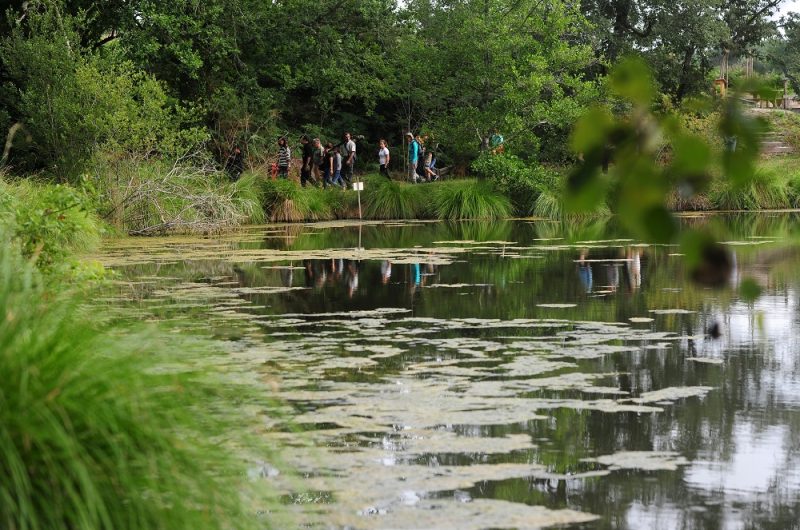 667563-visite-neuf-fontaines—bostensnll-49