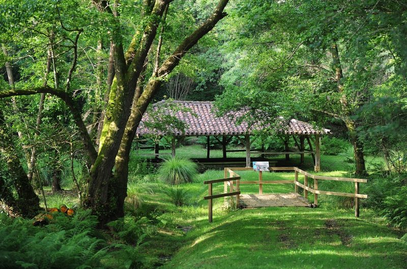 667607-site-de-limacnic-2343-1r