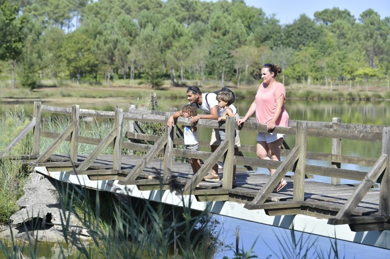 667665-etang-de-massy-gailleresgilles-arroyo-45r