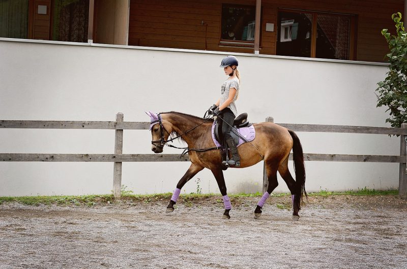 678767-girl-6054003-1280