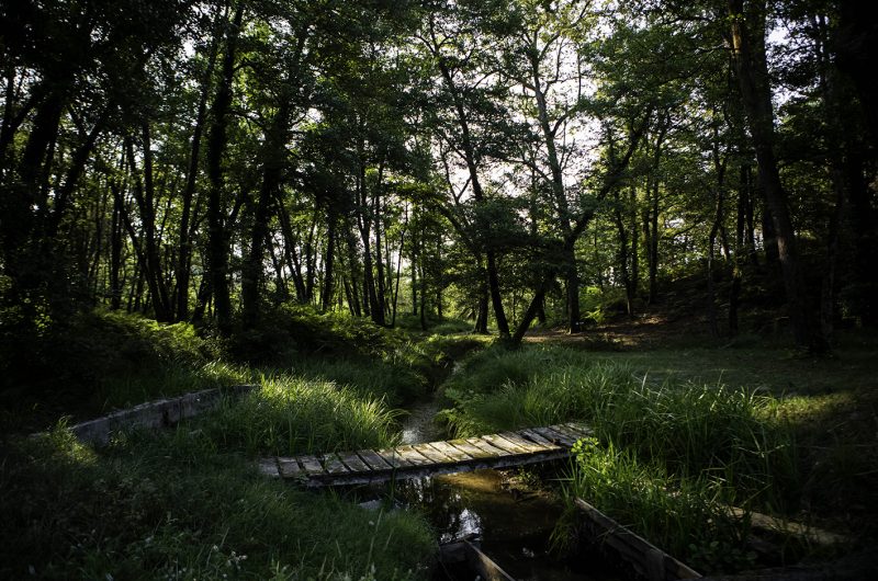 731786-centredebiodiversitejeanrostand2022-2