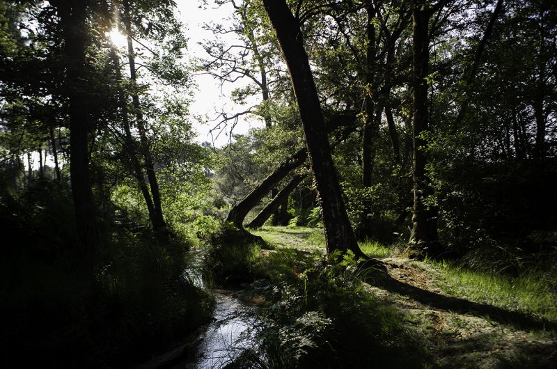 731788-centredebiodiversitejeanrostand2022-4