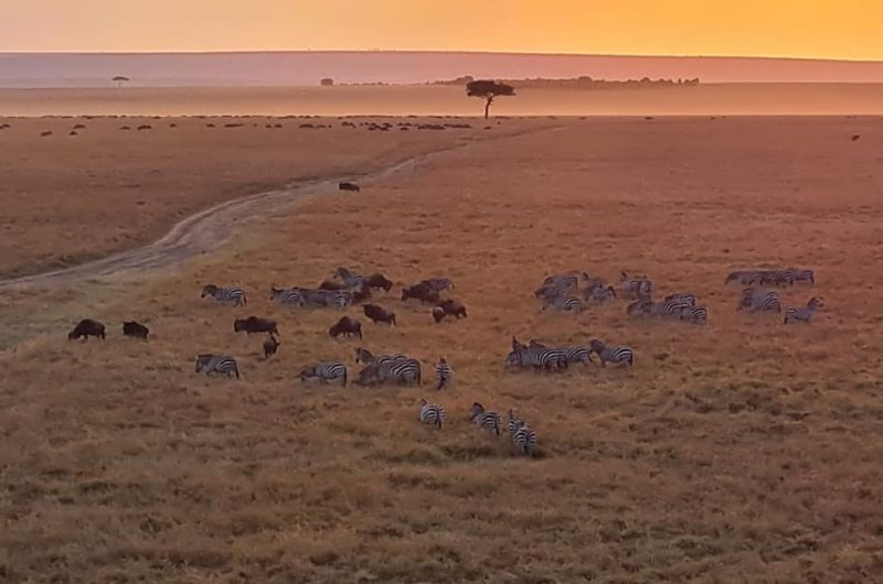 738503-233831492-580368196705166-6164282697192173947-n