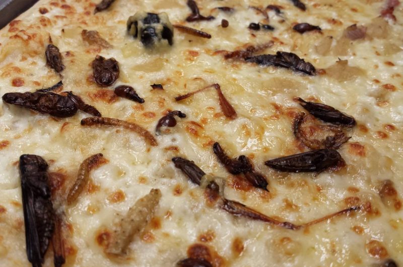 772994-11888572-1646697628947841-6302633731187551287-o