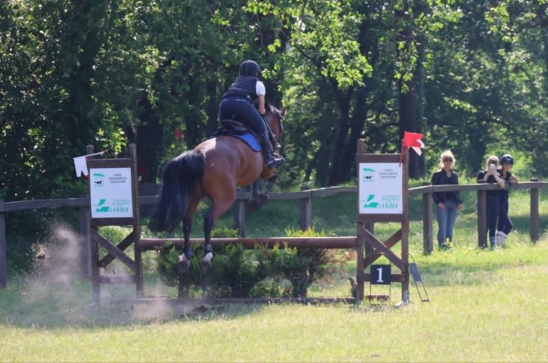 781409-347105853-257021926814870-3314042181142192490-n