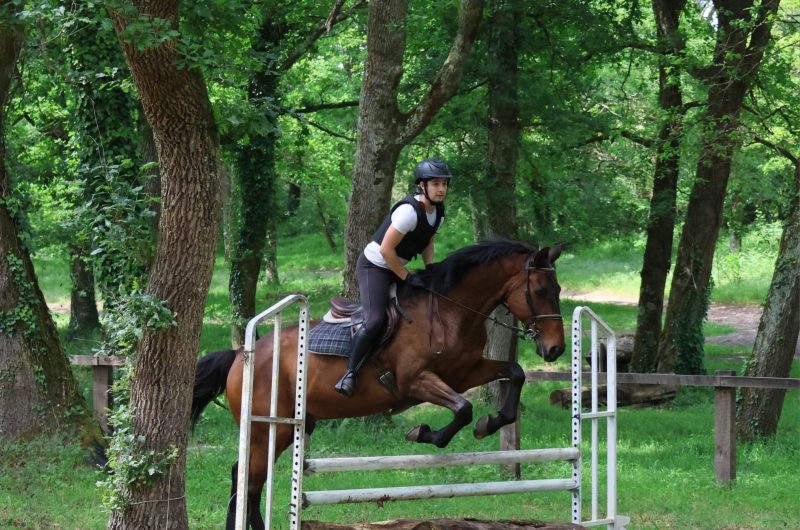 781410-347568973-2005261036472138-174689071219606633-n