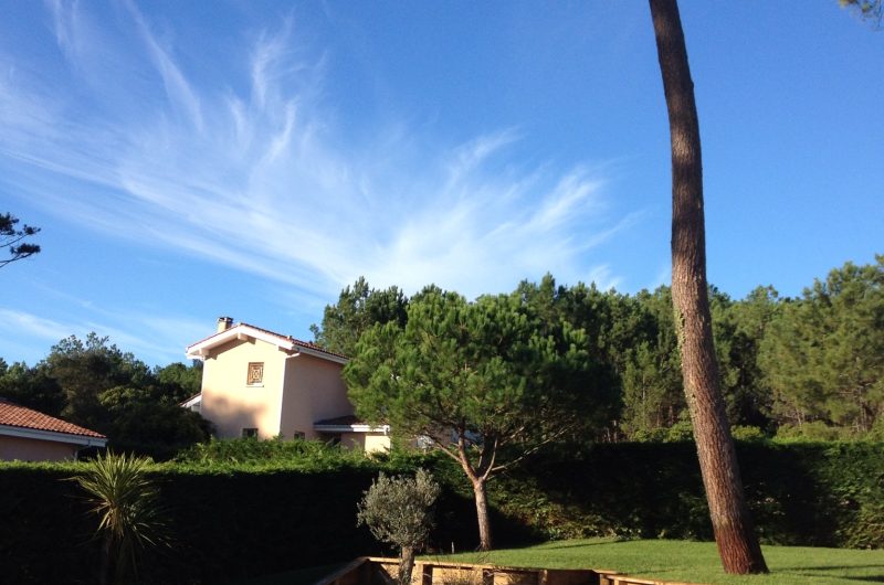 818—Vue-Piscine-Jardin