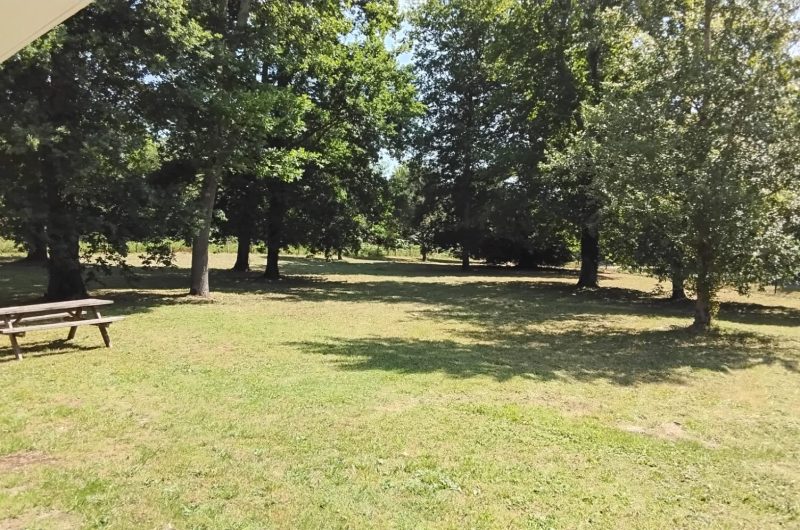 819665-ae7ba5a3-1f5d-40f6-a786-5662056468da