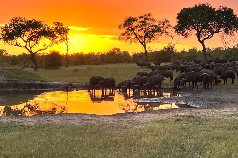 841911-471488283-1151153460353331-230995454384574658-n