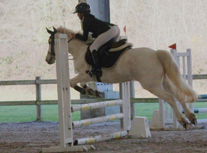 856616-488588288-1612742109669799-5009335450865126458-n